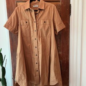 Everlane Daytripper Shirt Dress